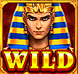 Pharaoh Treasure Wild